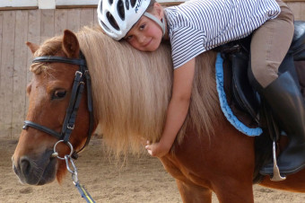 Gut Rodderhof, Reitanlage Köln – Ferienkurs