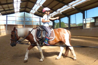 Gut Rodderhof, Reitanlage Köln – Ferienkurs mit Longenunterricht