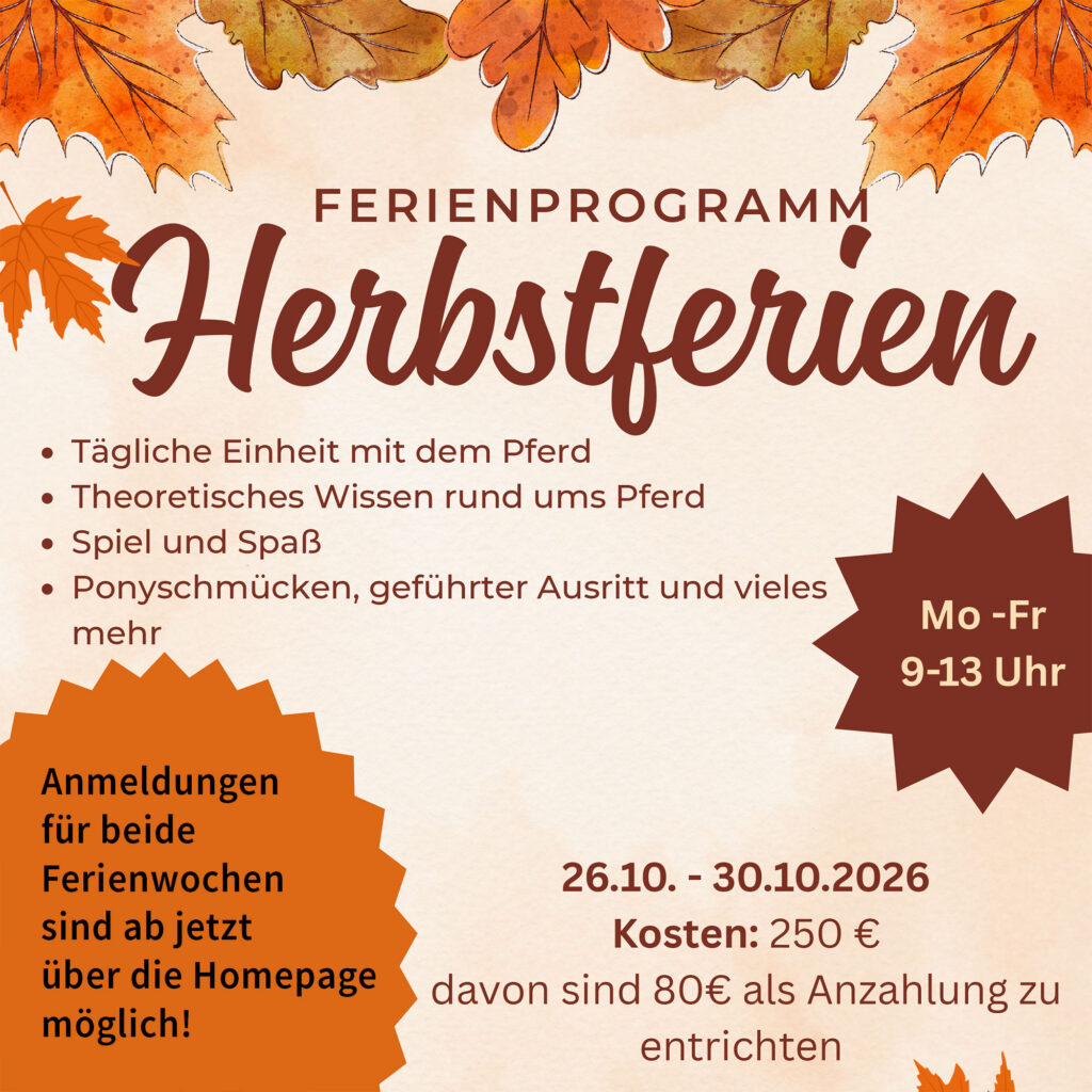 Ferienprogramm Herbstferien