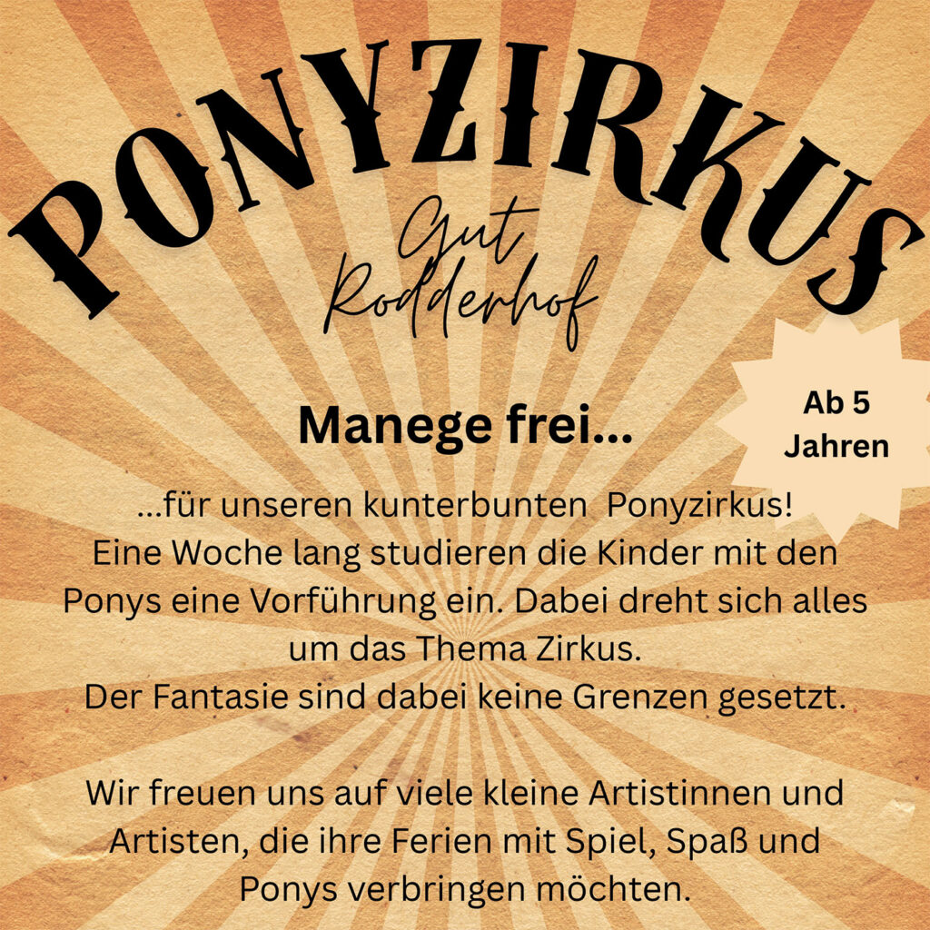 Beitragsbild Ponyzirkus