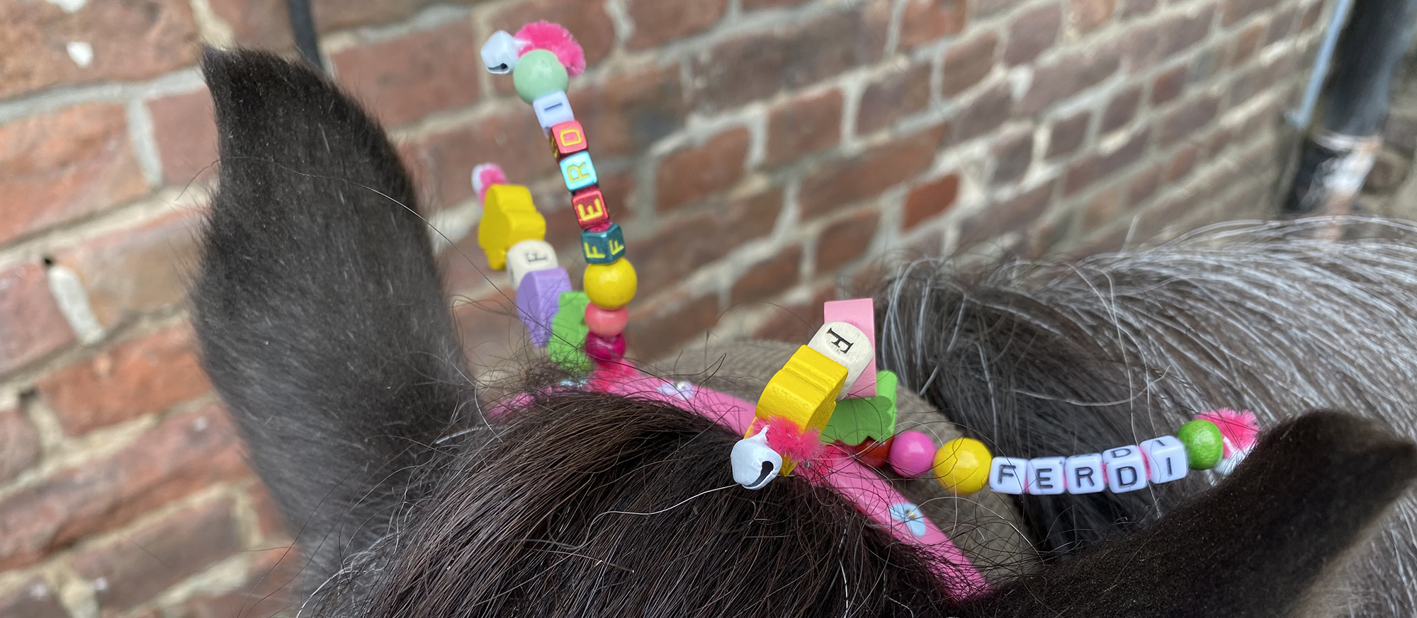 Kindergeburtstag Banner