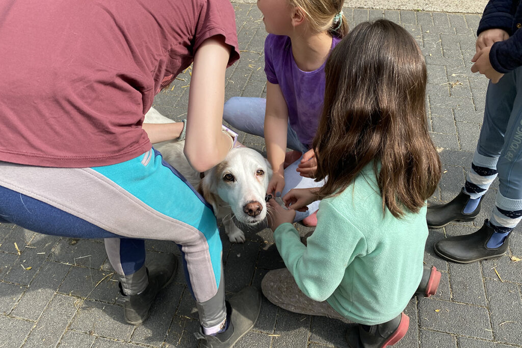 Ferienprogramm Kinder und Hund