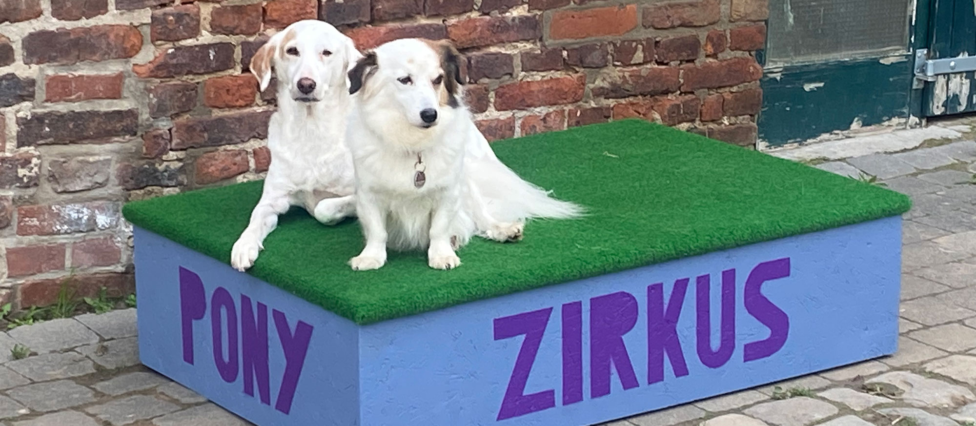 Bild Veranstaltung Ponyzirkus