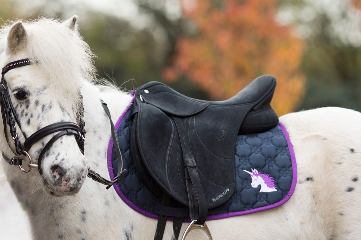 Banner Guppenunterricht