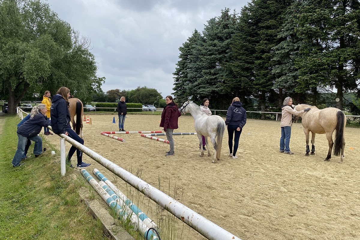 Lehrgang_Bodenarbeit
